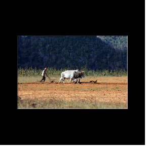 Vinales - Mogote del Valle