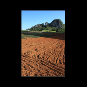 Vinales - Mogote del Valle