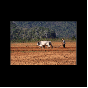 Vinales - Mogote del Valle