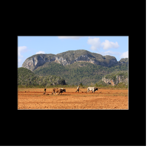 Vinales - Mogote del Valle