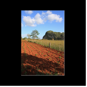 Vinales - Mogote del Valle