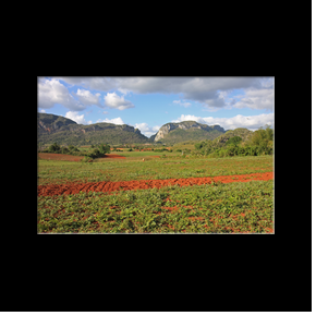 Vinales - Mogote Coco Solo