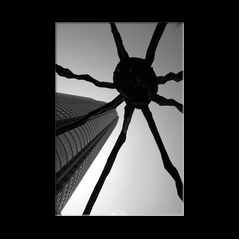 Araigne gante de Louise Bourgeois (Tokyo)