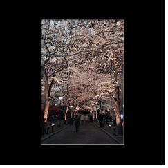 Gion (Kyoto)