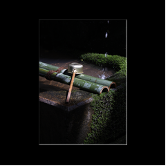 Dtails dans le Parc de Nara
