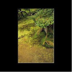 Ginkaku-ji ou pavillon d'argent (Kyoto)