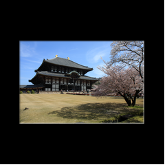 Temple Tdai-ji (Nara)