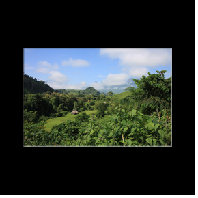 Trekking dans les environs de Muang No 