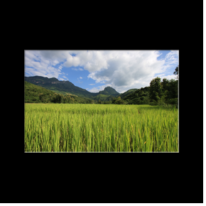 Trekking dans les environs de Muang No