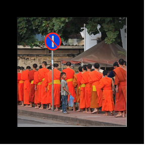 L'offrande matinale aux moines et novices dans les rues de Luang Prabang