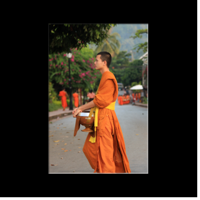 L'offrande matinale aux moines et novices dans les rues de Luang Prabang