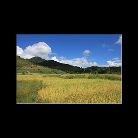 Dans les environs de Muang Sing