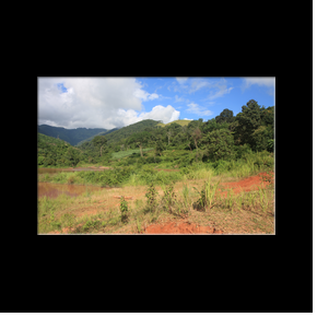 Dans les environs de Muang Sing