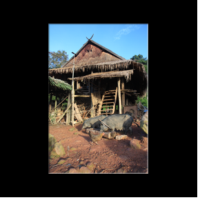 Village traditionnel Mhong