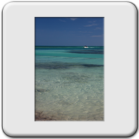 Les eaux translucides de Caye Caulker