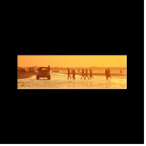 Saturday Beach Party