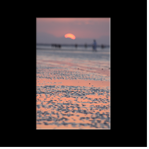 Sawadi Beach