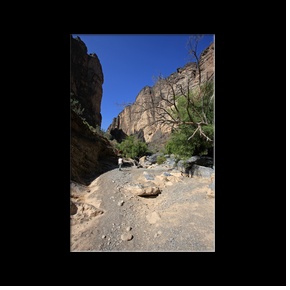 Snake Gorge