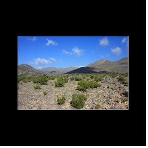 Saiq plateau around Jebel Akhdar