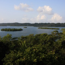 Bocas-2.jpg