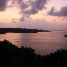 Bocas-3.jpg