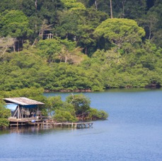 Bocas-6.jpg