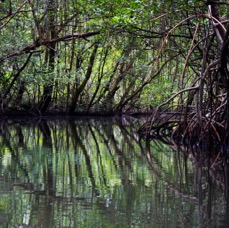 Bocas-8.jpg