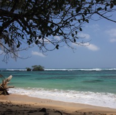 Bocas-11.jpg
