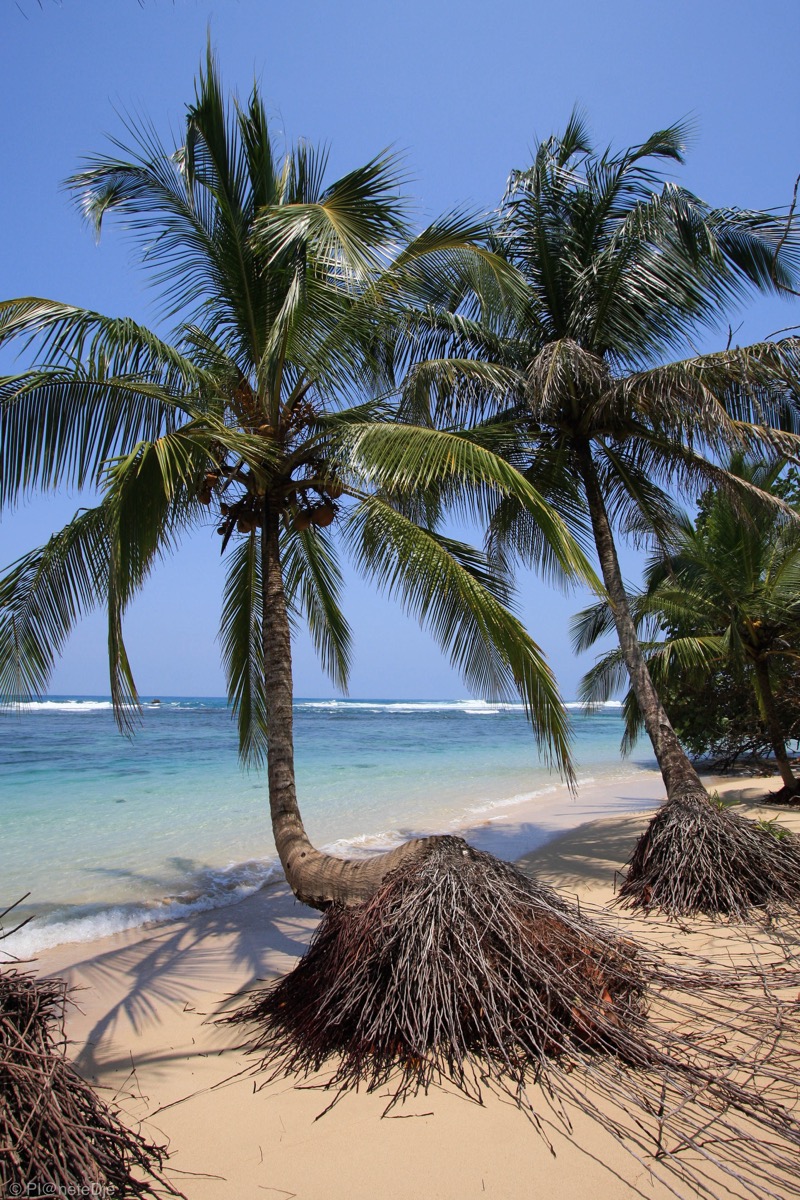 Isla Bastimentos