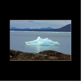 ... parsemant la baie de Svea de nombreux iceberg...