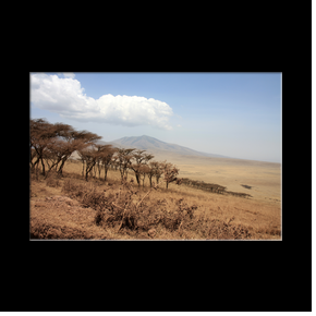 Zone de conservation du Ngorongoro