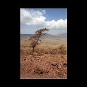 Zone de conservation du Ngorongoro