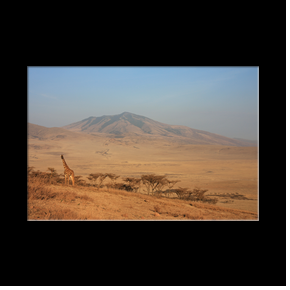 Zone de conservation du Ngorongoro