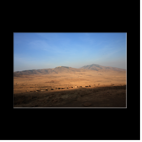 Zone de conservation du Ngorongoro
