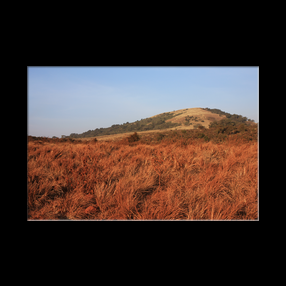 Zone de conservation du Ngorongoro