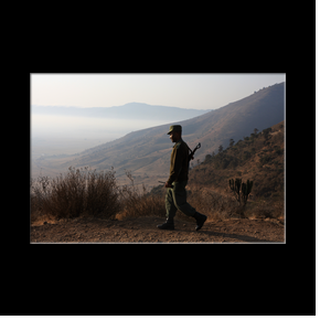 Sur les pentes du cratre Ngorongoro