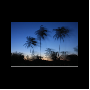 Matemwe au nord-est de zanzibar