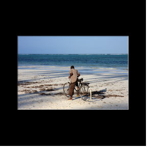 Plage de Matemwe, itinraire bis pour les vlos!!!