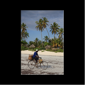 Plage de Matemwe, itinraire bis pour les vlos!!!