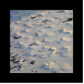 Traces sur la plage de Matemwe