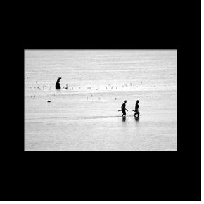 Pche et rcolte des algues  mare basse  Matemwe