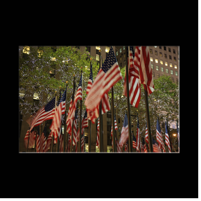 American flags