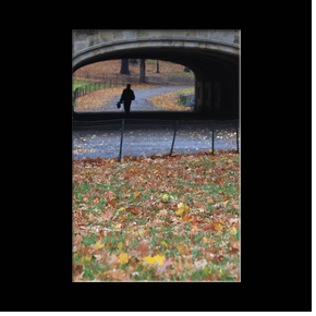 Central Park