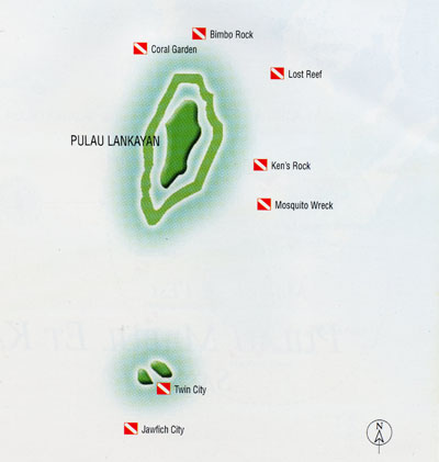 graphic